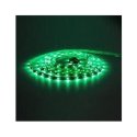 STRISCIA LUMINOSA A LED 5 MT. COLORE VERDE