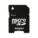 ADATTATORE DA MICRO SD A MEMORY SD BULK - ATTENZIONE: legge memorie fino a 64GB!